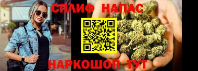 apvp Обь