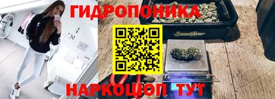 бошки Белгород