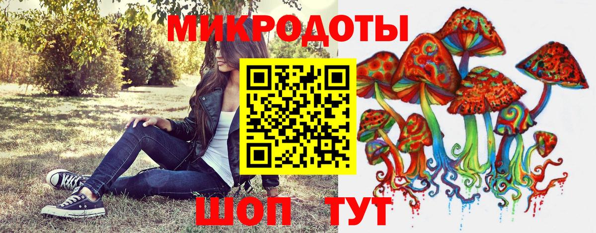 Галлюциногенные грибы Psilocybine cubensis Бугульма